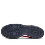 Nike Dunk Low SP ‘Champ Colors’