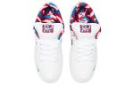 Nike SB Skateboard Dunk Low OG QS ‘White’
