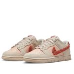 Nike Dunk Low ‘Terry Swoosh’