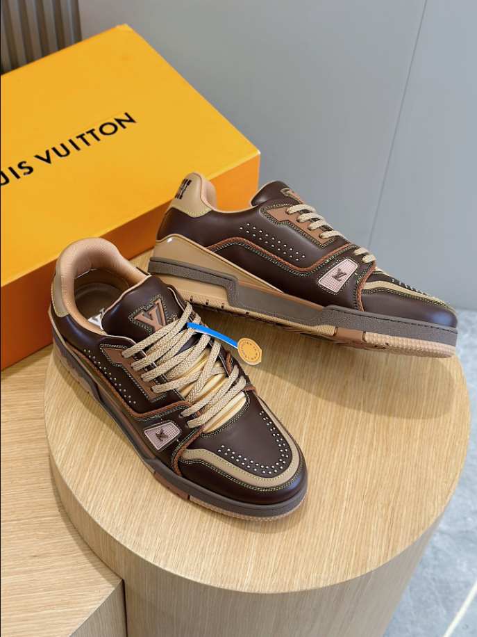 Louis Vuitton LV Trainer Marron Brown Sneaker – LVS207