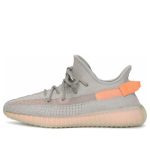 Adidas Yeezy Boost 350 V2 ‘True Form’
