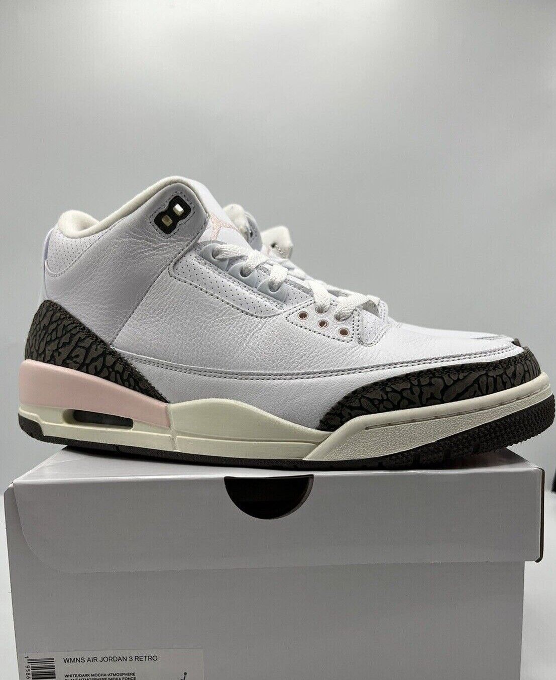 Air Jordan 3 Retro ‘Neapolitan’ photo review