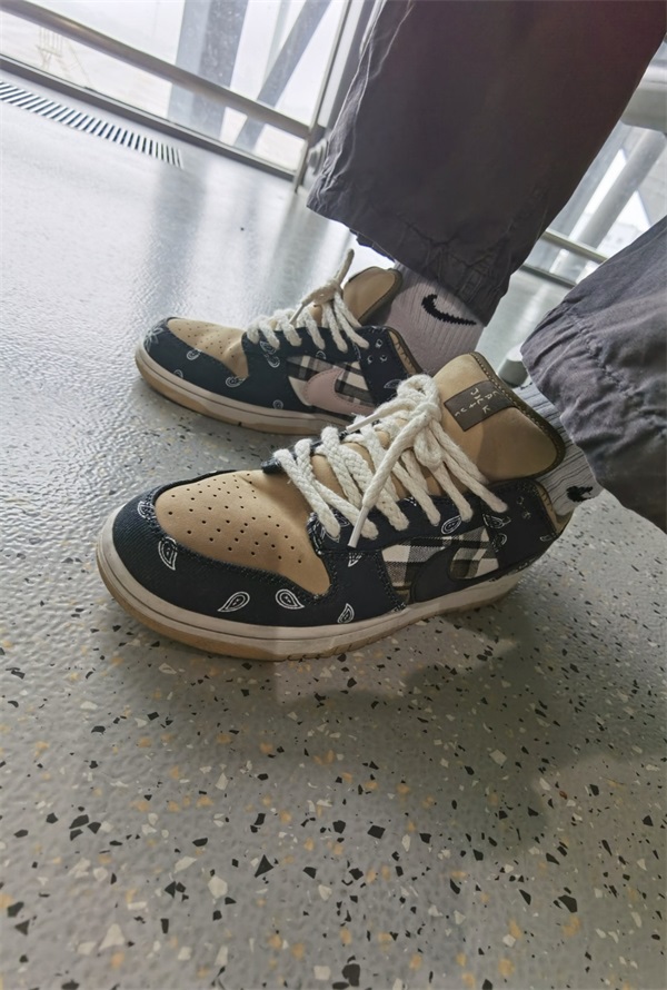 Nike x Travis Scott SB Dunk Low Premium QS ‘Cactus Jack’ photo review