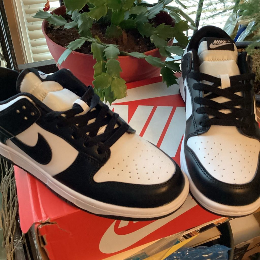 Nike Dunk Low ‘Panda Black White’ photo review